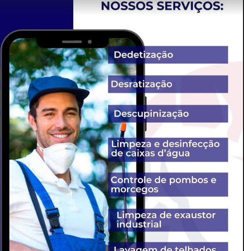 O que é sanitização