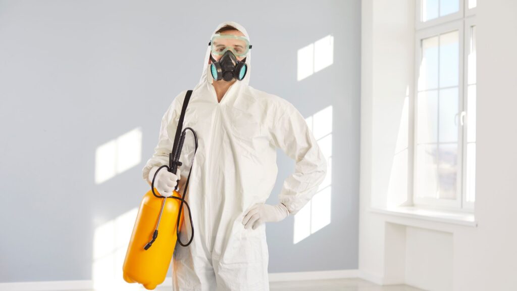 Entenda a importância da manutenção preventiva na dedetização!