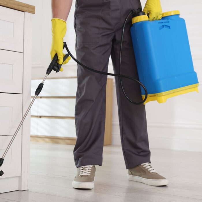 Entenda a importância de contar com uma empresa especializada em controle de pragas!